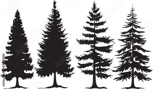 Tree Silhouette Vector Bundle
