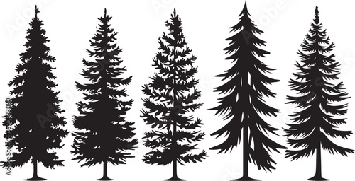 Tree Silhouette Vector Bundle