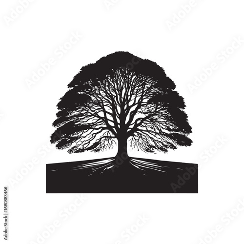 Elm tree Vector (2).eps