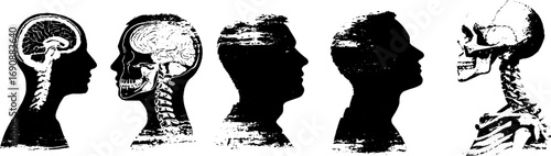Grunge black and white profile illustrations of human head anatomy in side view for educational or design use