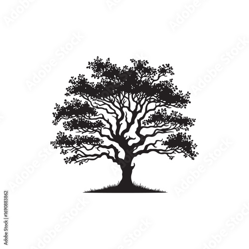 Hawthorn tree Vector (3).eps