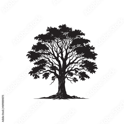Hickory tree Vector (4).eps
