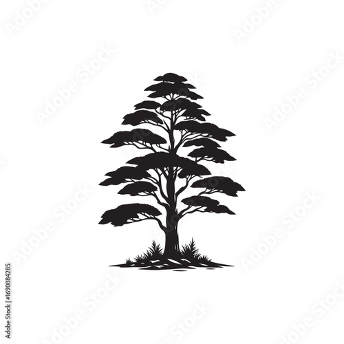 Juniper tree Vector (1).eps