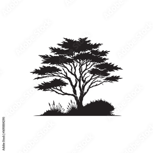 Juniper tree Vector (2).eps