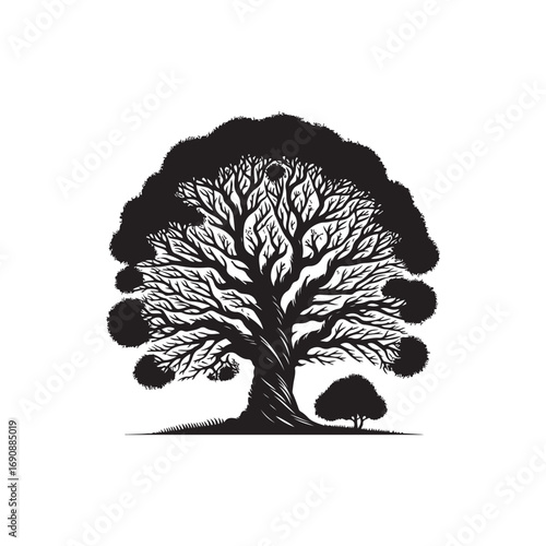 Poplar tree Vector (3).eps