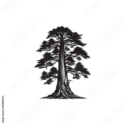 Redwood tree Vector (3).eps