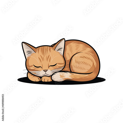 Cute orange tabby kitten sleeping curled up isolated on transparent background