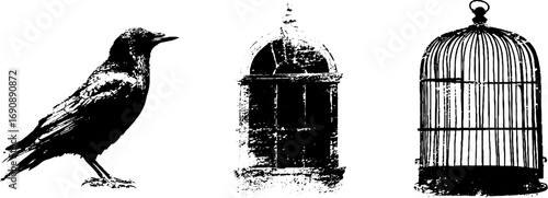 Grunge black and white set with crow, arched window, and birdcage silhouettes for creative design
