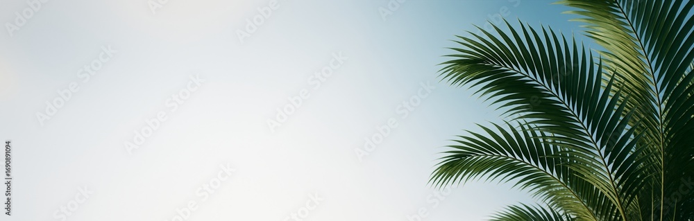 Fototapeta premium Tropical palm leaves on right side with bright empty background for creative summer design, copyspace, poster, banner or template concept. Ai generative