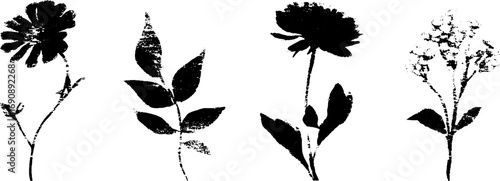 Black and white grunge plant silhouettes set for botanical design and decoration