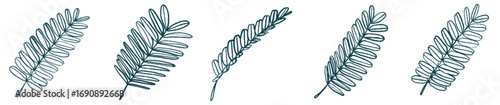 Botanical Fern Leaf PNG for Invitation, Eco Branding, and Background Art