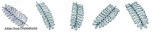 Botanical Fern Leaf PNG for Invitation, Eco Branding, and Background Art