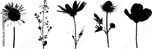 Grunge black and white floral silhouette set featuring various flowers for artistic design