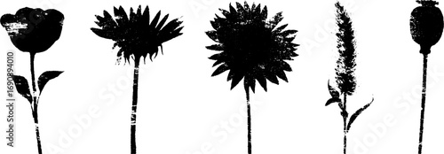Grunge black and white floral silhouette collection for urban designs