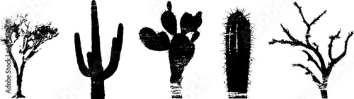 Grunge black and white silhouette set of thorny trees and cacti for urban design