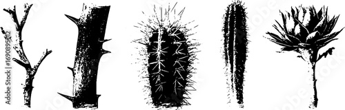 Grunge black and white thorn illustrations set for design and decoration