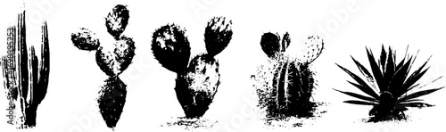 Vintage grunge black and white cactus thorn illustration set for urban design projects