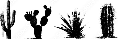 Grunge black and white cactus illustration set for urban design