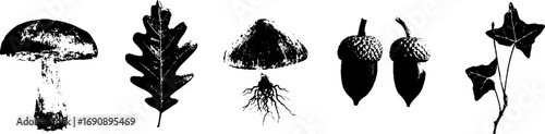 Grunge black and white nature silhouette set: mushrooms, oak leaf, acorns, ivy, root design for poster