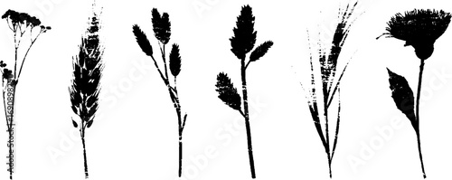 Grunge black and white silhouette set of dried flowers for urban art design