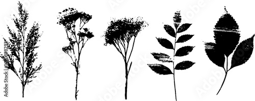Black and white grunge silhouette set of withered plants for urban design and posters