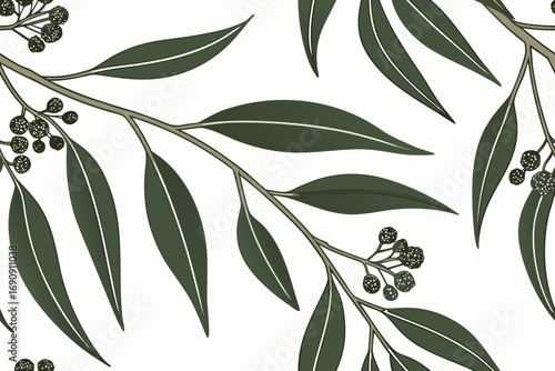 olive branch vector