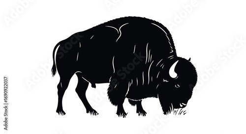 Powerful bison grazing peacefully in a white space, symbolizing wild nature and strength.