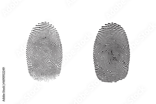 A set of two detailed black fingerprint illustrations isolated on a white background, symbolizing biometric identity and forensic science