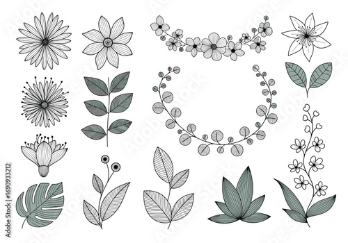 Collection of delicate botanical illustrations for design projects