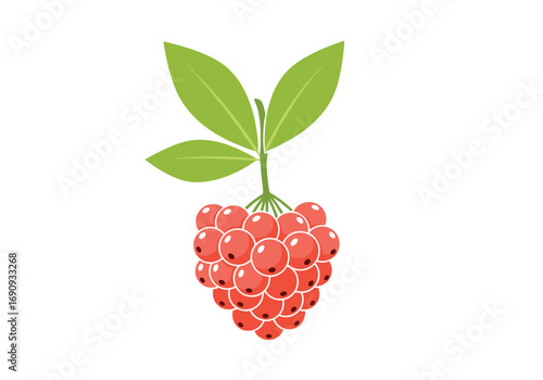 Fresh red berry cluster with green leaves isolated on white background