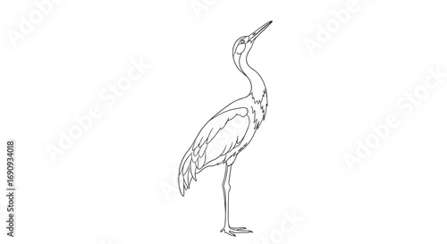Elegant bird with long neck standing tall in natural habitat