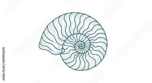 Detailed illustration of an ancient nautilus shell revealing complex chambered growth patterns