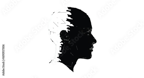 Abstract profile silhouette with a stark black and white contrast, representing duality or mystery