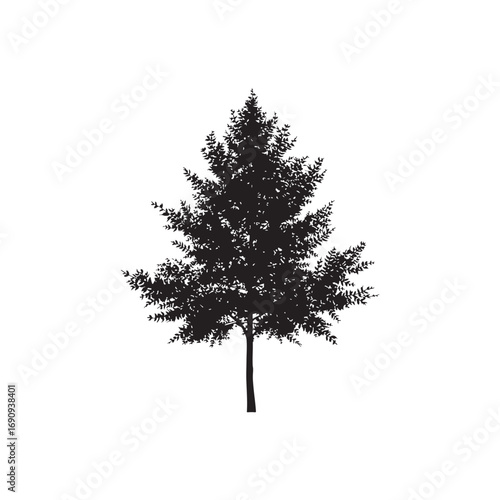 Alder Vector  (7).eps