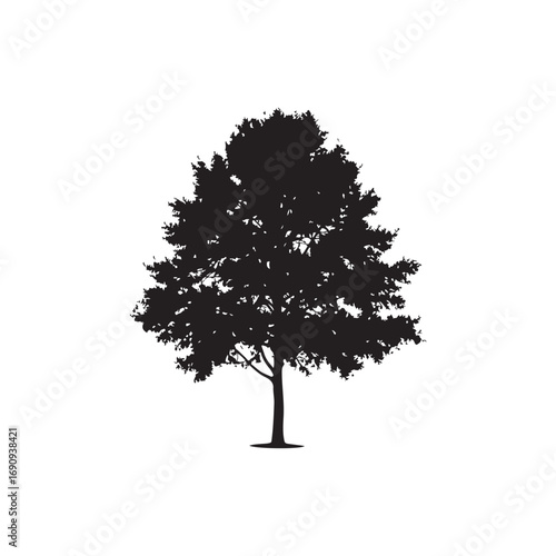 Alder Vector  (8).eps