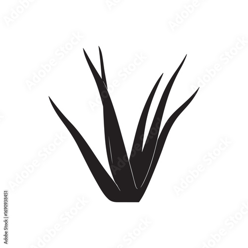 Aloe Vera Vector (6).eps