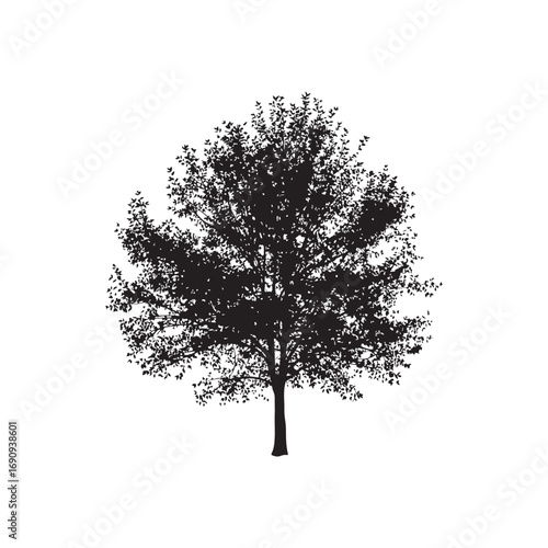 Aspen Vector (6).eps