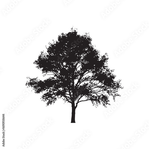 Aspen Vector (8).eps