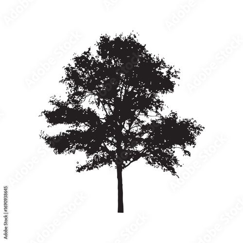 Aspen Vector (7).eps