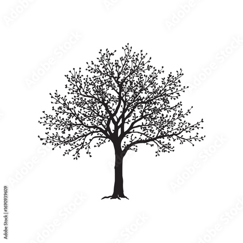 Dogwood Vector  (3).eps