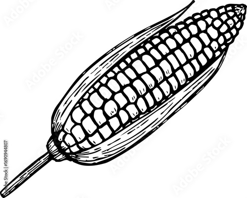 Harvesting corn celebrating agriculture in a rural landscape artistic nature close-up perspective organic farming