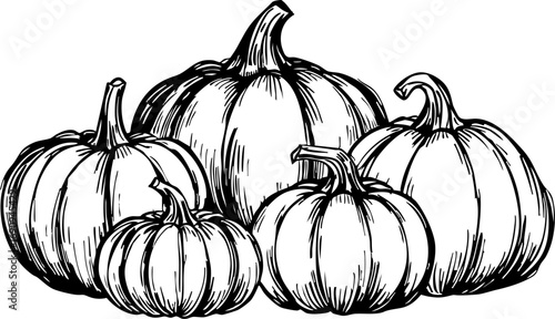 Harvest festival featuring pumpkins local farm autumn close-up celebrating seasonal produce