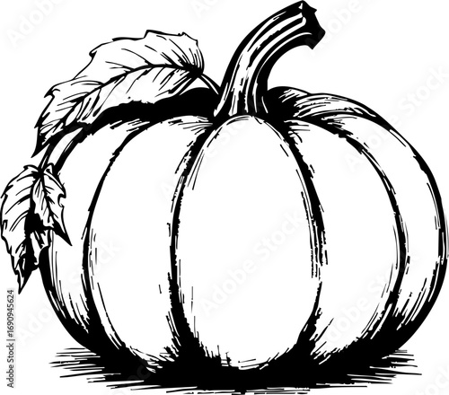 Harvesting pumpkins autumn festival in a rustic farm cozy atmosphere close-up view seasonal celebration