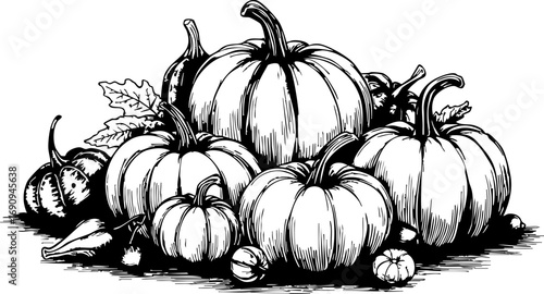 Harvest celebration of white pumpkins autumn festival outdoor gathering rural setting close-up view seasonal traditions for families