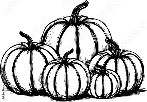 Harvesting seasonal bounty white pumpkins in autumn still life photography rustic setting artistic viewpoint nature's beauty