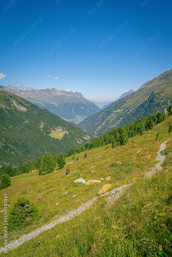 Fototapeta premium Alpine valley with grassy slopes and scattered trees overlooking distant mountain ranges under clear blue summer sky in the high Italian Alps