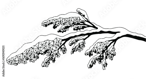 Delicate snow-covered branches against a stark white background, evoking winter's serene beauty.