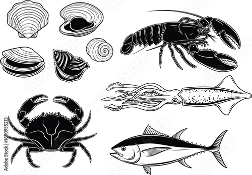 Collection of black and white illustrations of seafood including lobster crab fish and shellfish
