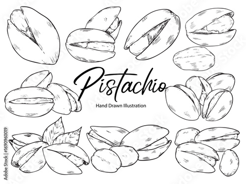 Set of isolated hand drawn pistachio nuts outline drawing illustration 2