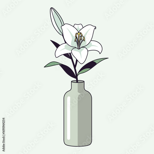 Elegant white lily in a simple vase